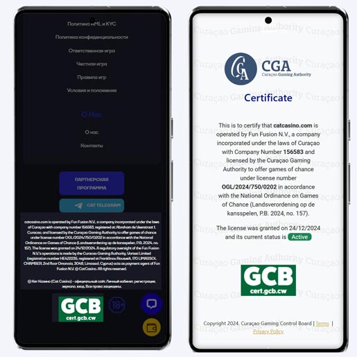 Лицензия площадки